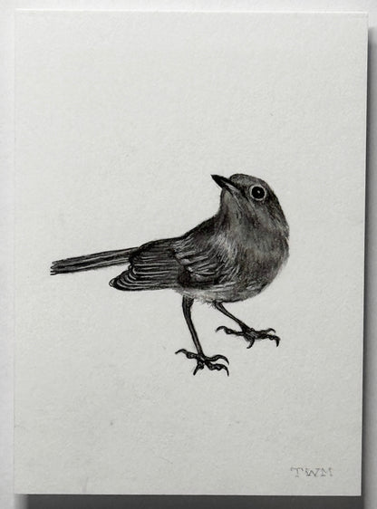 Mini Bird, 8x10 Framed, 2.5x3.5 Art