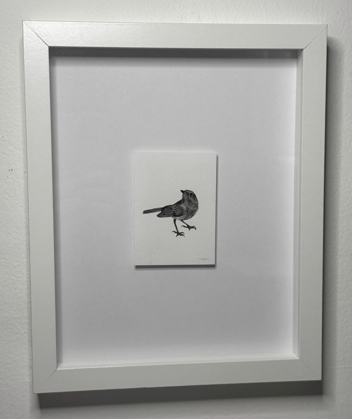Mini Bird, 8x10 Framed, 2.5x3.5 Art