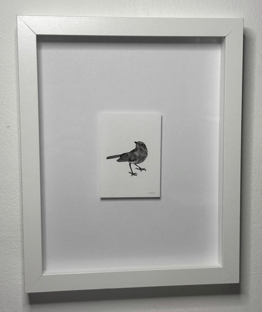 Mini Bird, 8x10 Framed, 2.5x3.5 Art