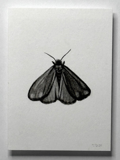 Mini Cinnabar Moth, 10x8 Framed, 2.5x3.5 Art