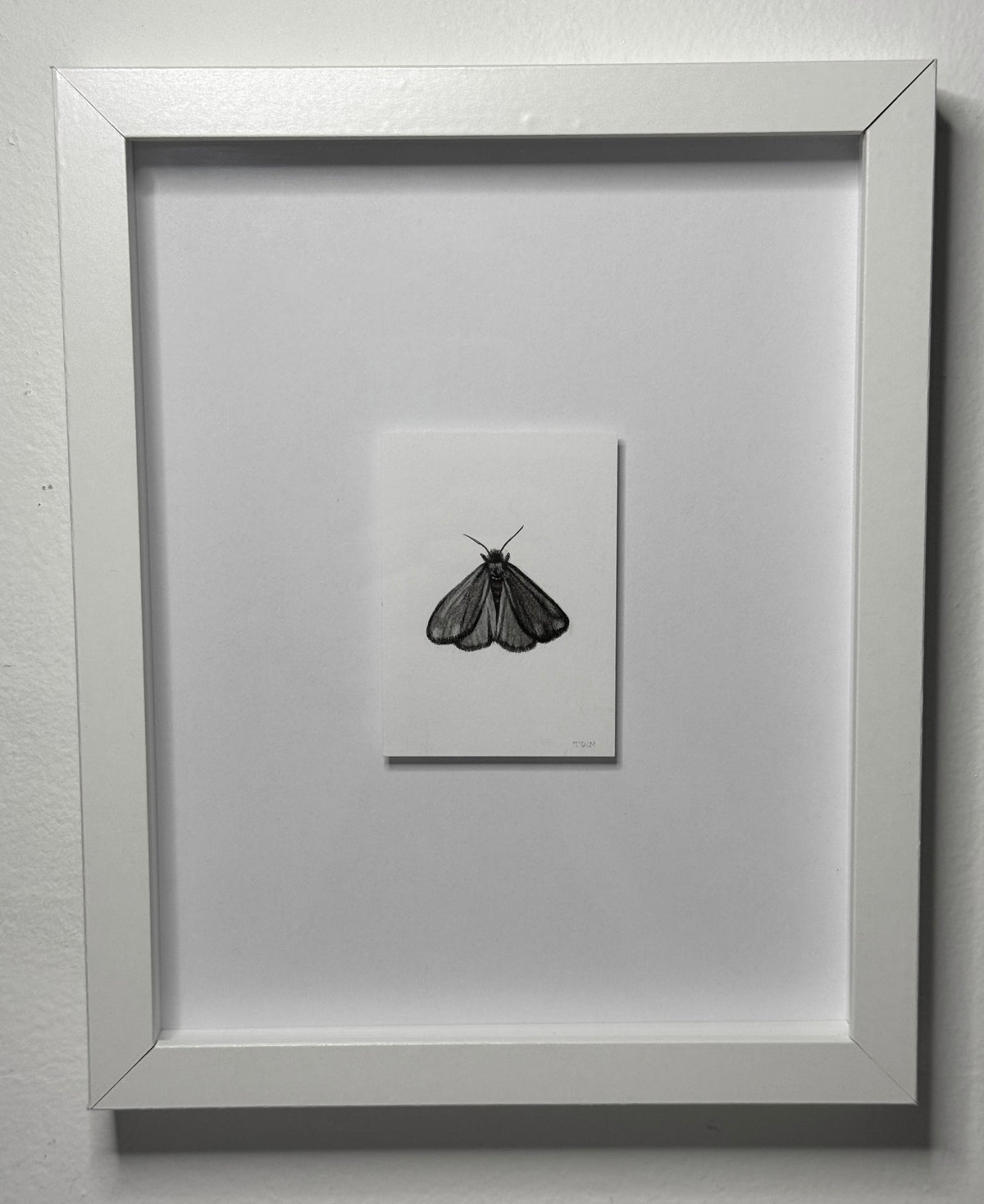 Mini Cinnabar Moth, 10x8 Framed, 2.5x3.5 Art
