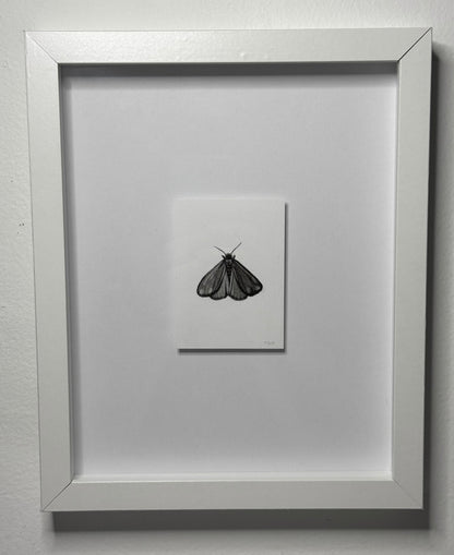 Mini Cinnabar Moth, 10x8 Framed, 2.5x3.5 Art