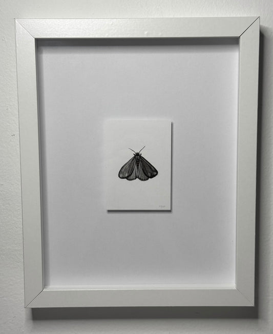 Mini Cinnabar Moth, 10x8 Framed, 2.5x3.5 Art