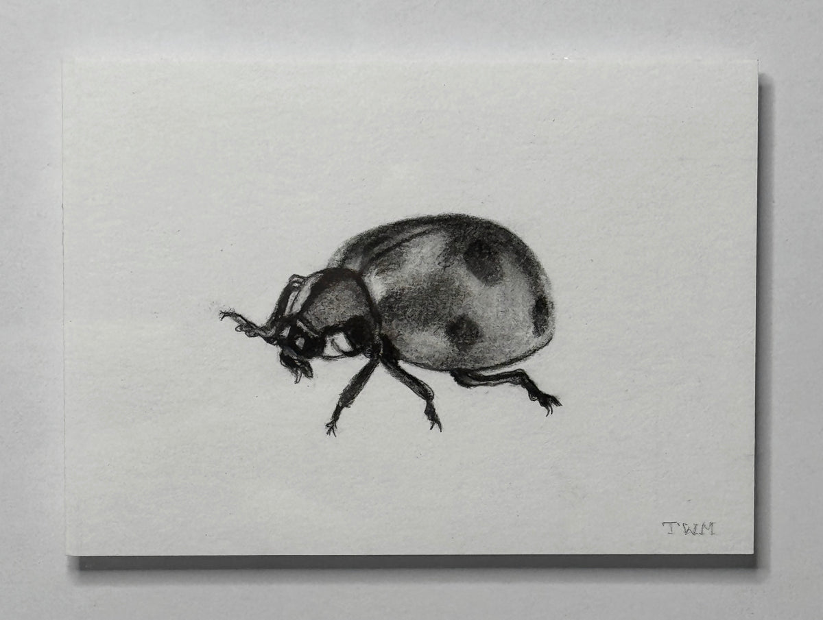 Mini Ladybug, 8x10 Framed, 2.5x3.5 Art
