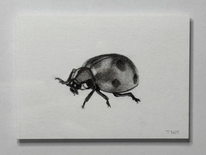 Mini Ladybug, 8x10 Framed, 2.5x3.5 Art