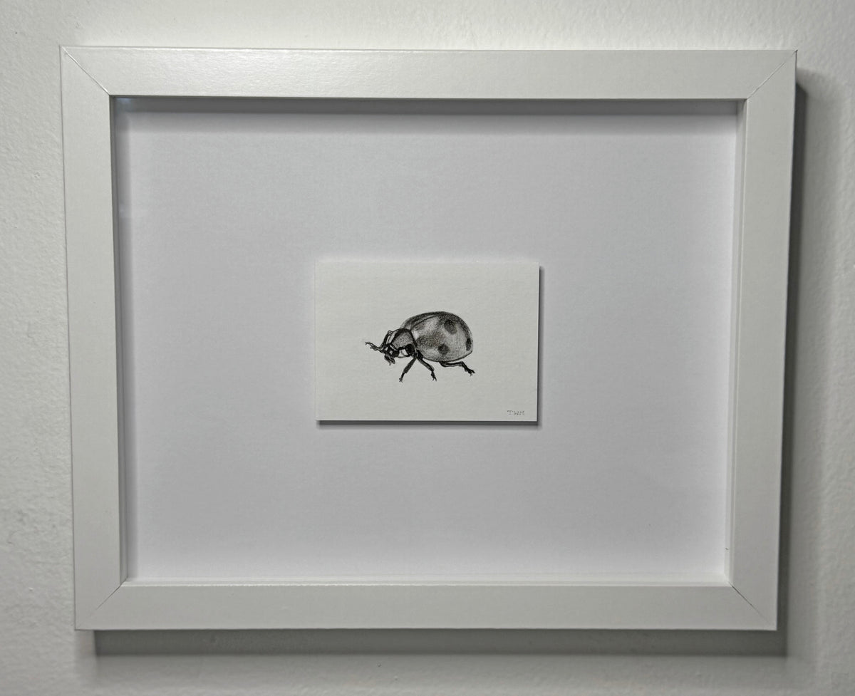 Mini Ladybug, 8x10 Framed, 2.5x3.5 Art
