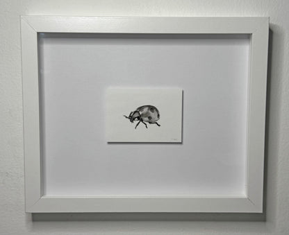 Mini Ladybug, 8x10 Framed, 2.5x3.5 Art