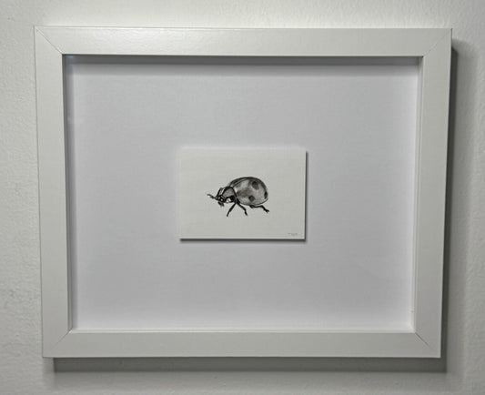 Mini Ladybug, 8x10 Framed, 2.5x3.5 Art