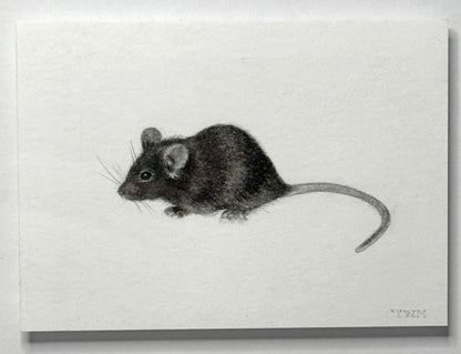 Mini Mouse, 8x10 Framed, 2.5x3.5 Art