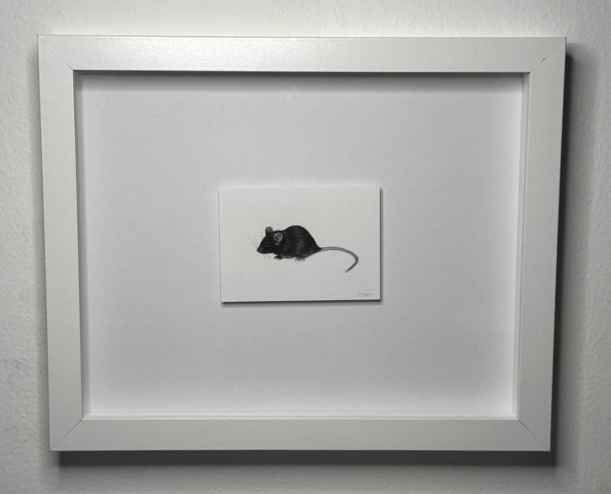 Mini Mouse, 8x10 Framed, 2.5x3.5 Art