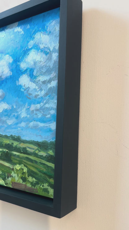 Early June Views, 11x14