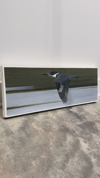 Triangle Elation - Belted Kingfisher, 10x28
