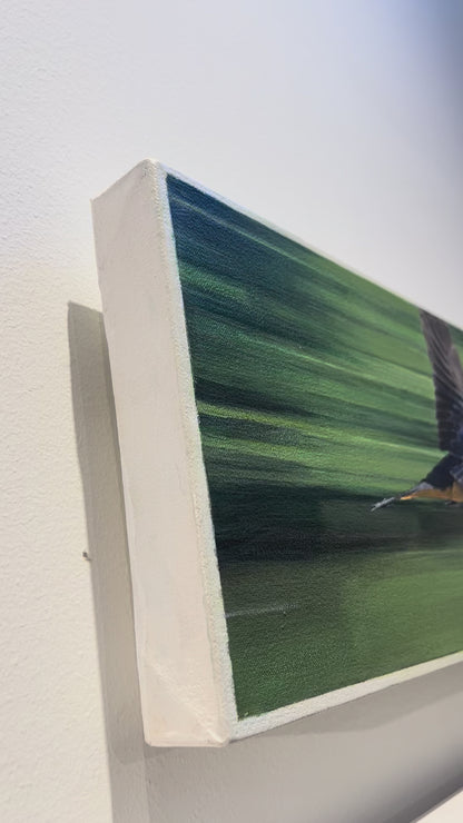 Speedsters - Barn Swallows, 7.5 x 26