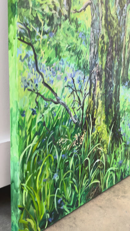 Bluebells in Finnich Glen, 48x36
