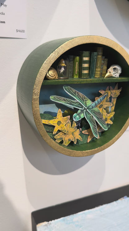 "Blue Dasher" 6 x 6 x 3