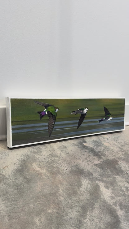 The Sky Elves - Violet Green Swallows, 7.5x28
