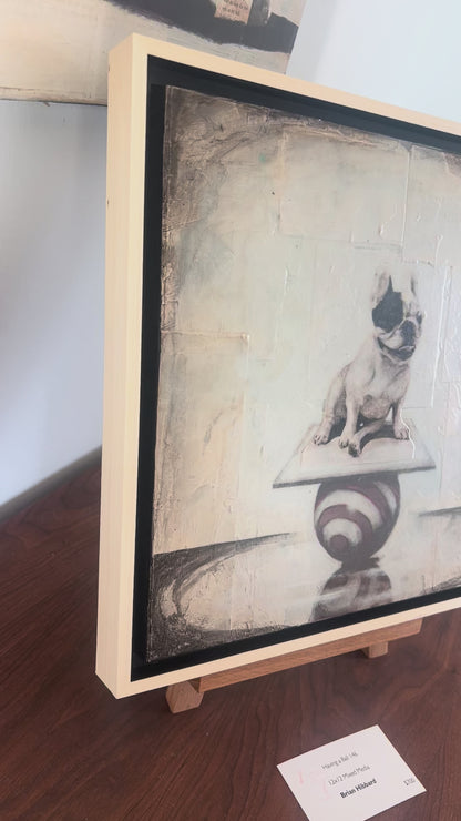 "Having a Ball 146", 12 x 12