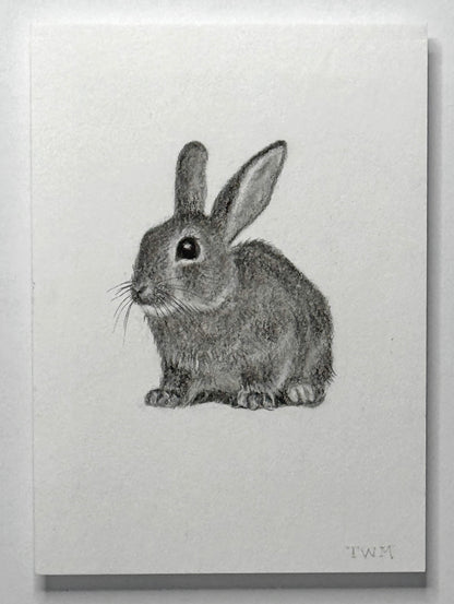 Mini Rabbit, 10x8 Framed, 3.5x2.3 Art