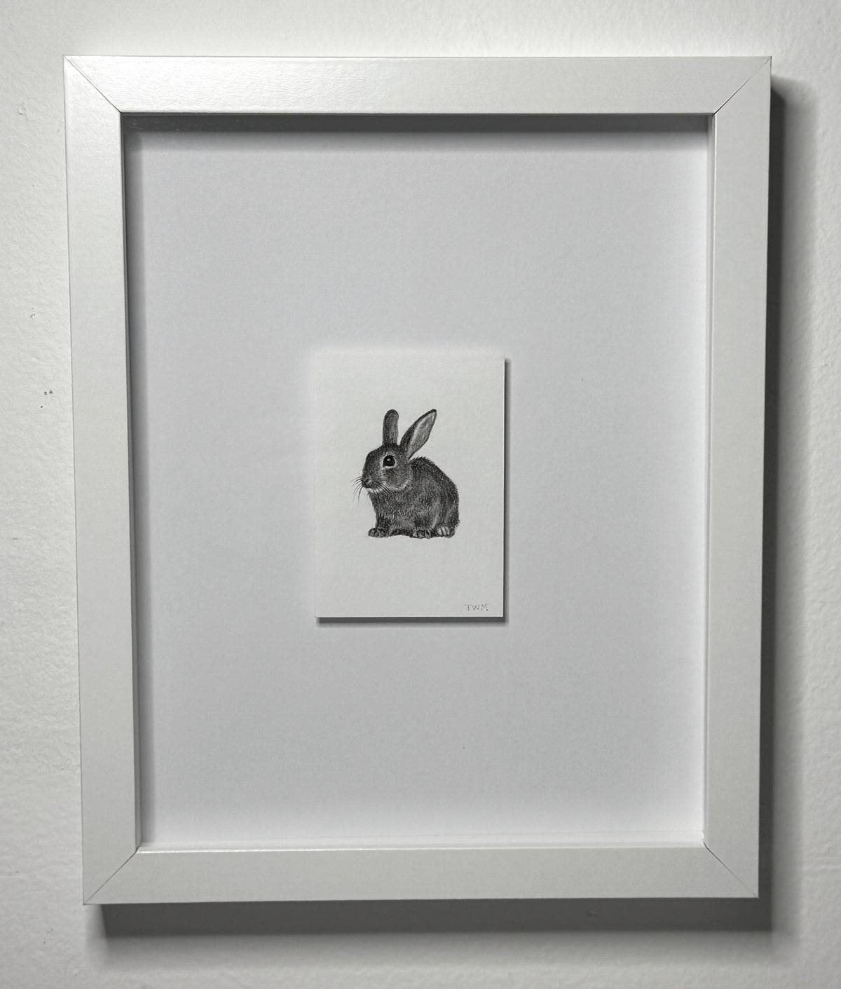 Mini Rabbit, 10x8 Framed, 3.5x2.3 Art