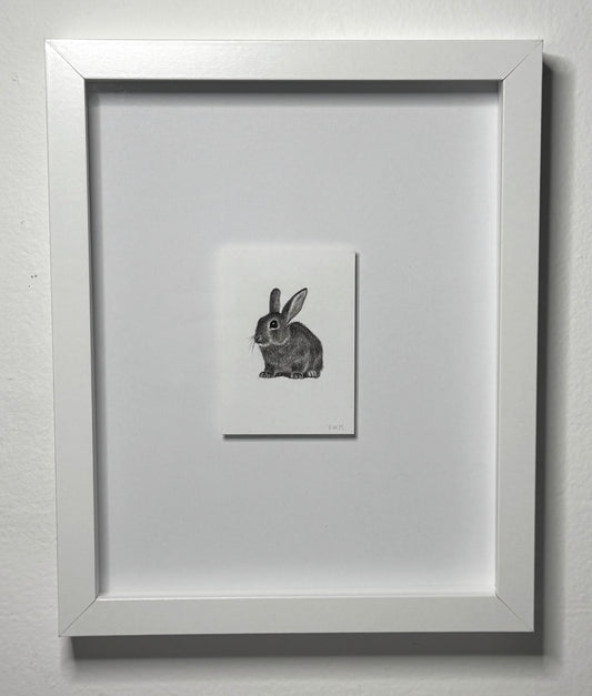 Mini Rabbit, 10x8 Framed, 3.5x2.3 Art