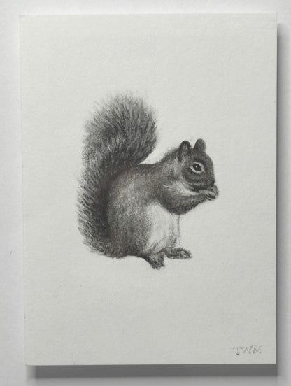 Mini Squirrel, 10x8 Framed, 3.5x2.3 Art