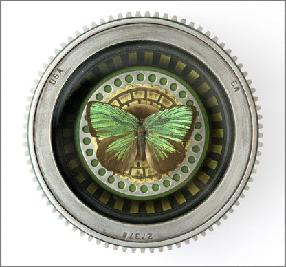 Green Oakblue Butterly wall hanging sculpture