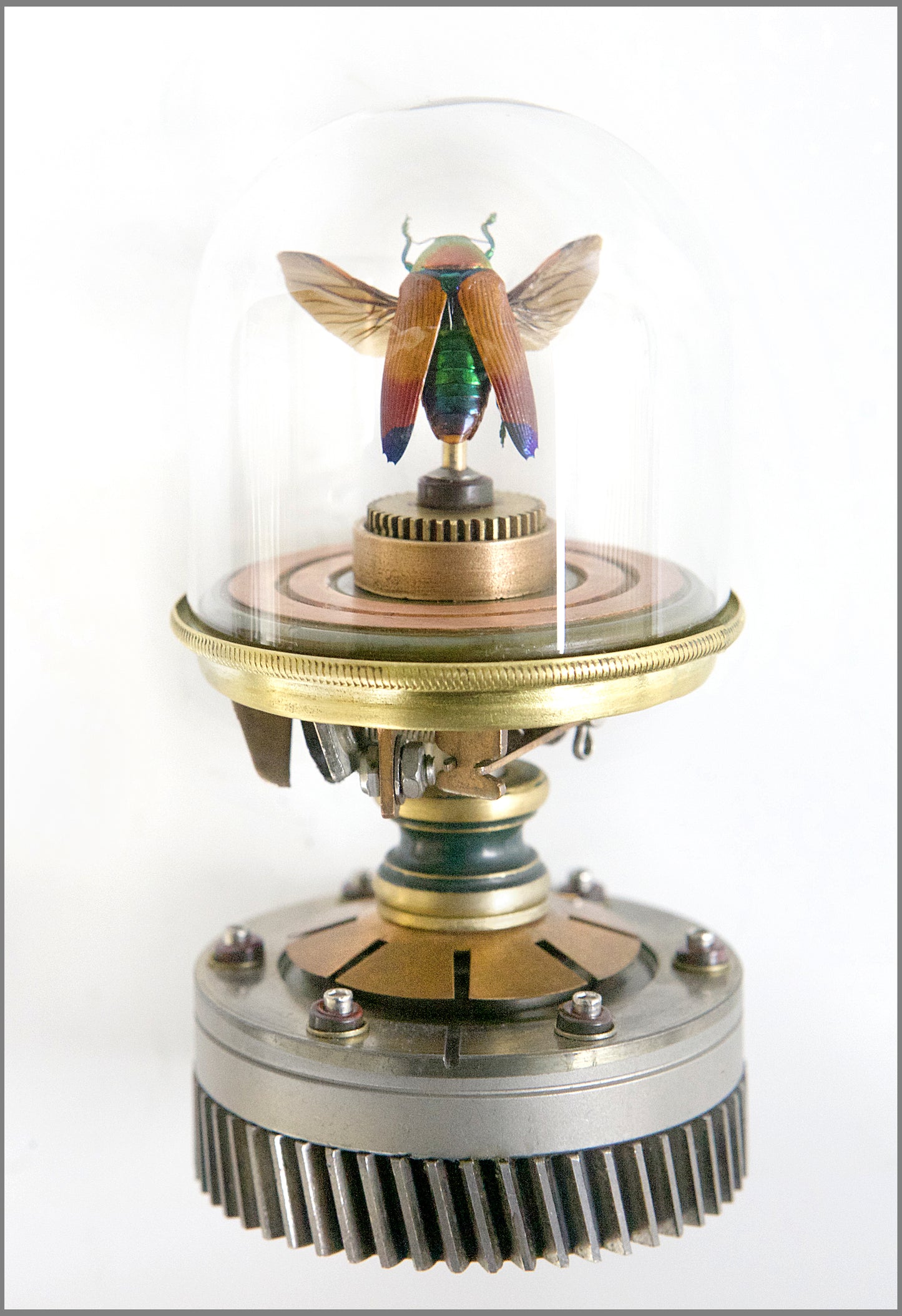 Rainbow Jewel Beetle Sculpture  5.5" H x  2" Diameter