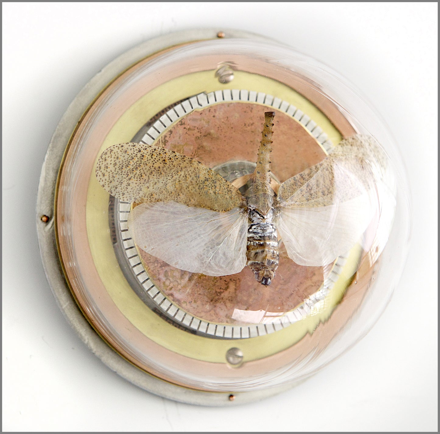 White Leafhopper Wall Hanging Sculpture